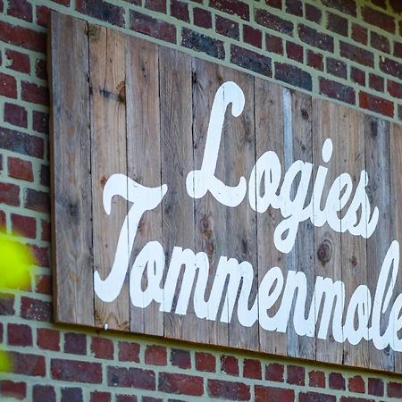 Apartament Logies Tommenmolen Grimbergen Zewnętrze zdjęcie